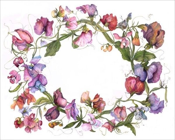 Sweet Peas Botanical Wreath (Gicle Print)