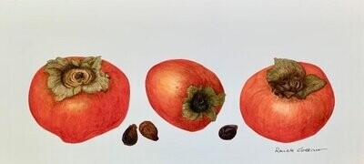 ​Persimmons (Gicle Print)