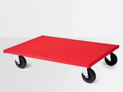 Möbelhunt / Möbelroller mittel