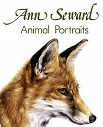 Ann Seward - Animal Portraits