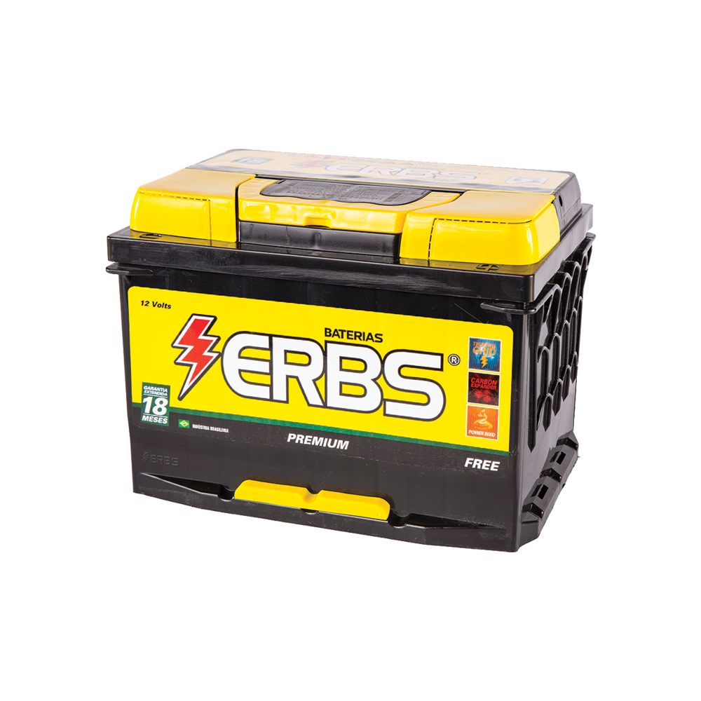 ERBS EPFL2 65D PREMIUM - 18 MESES