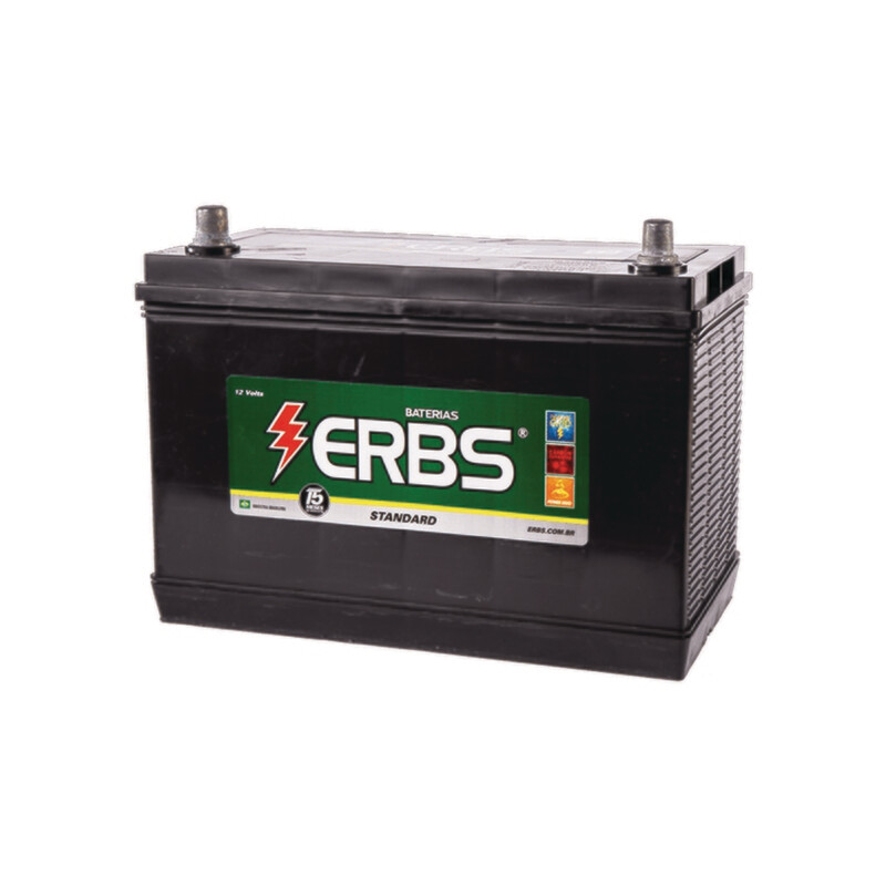 ERBS ERCGA STANDARD 100AH - 15 MESES