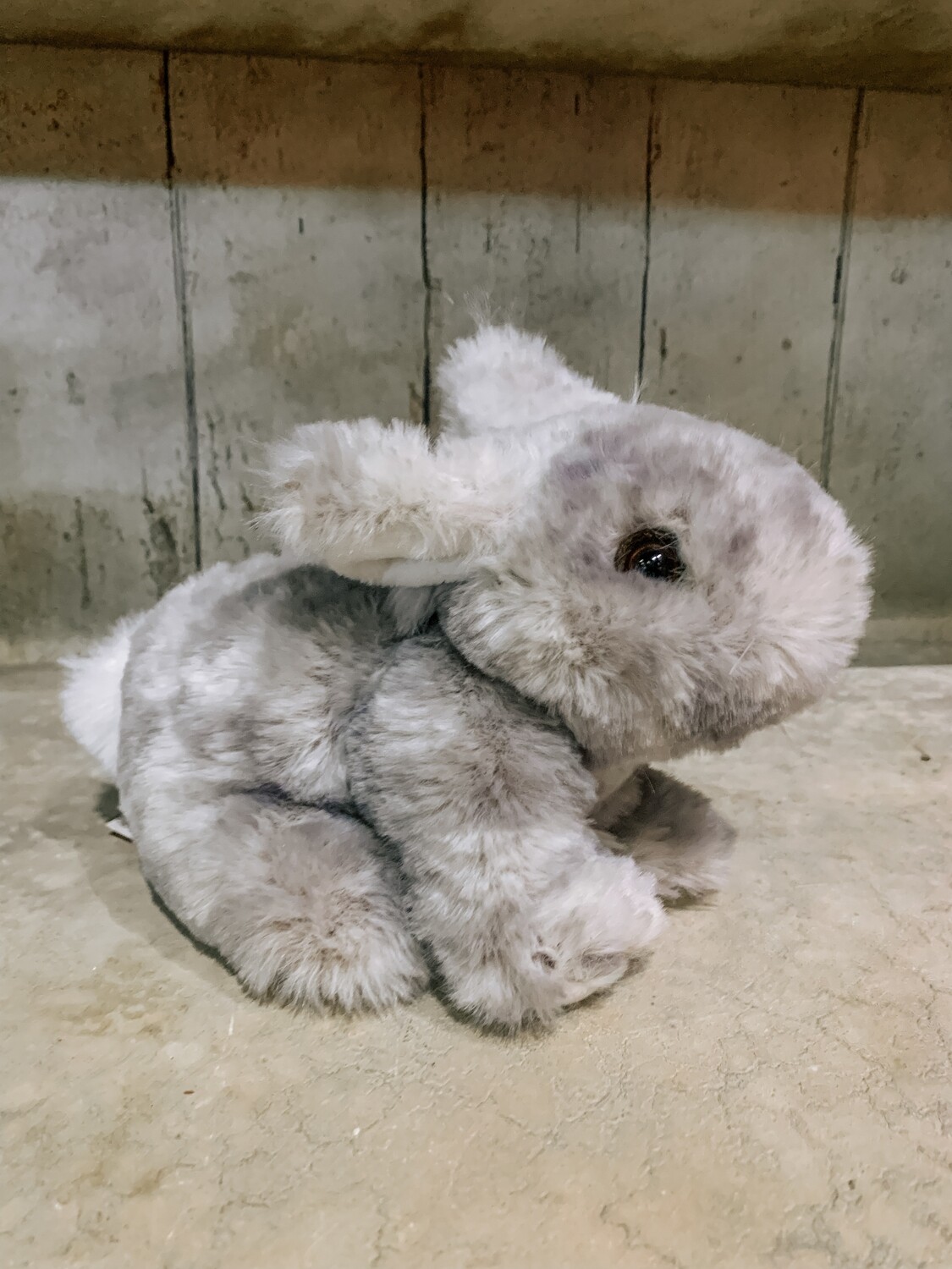 Tyler Gray Bunny