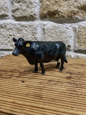 Angus Cow