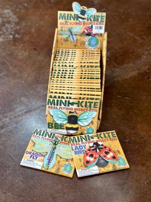 Insect Kite