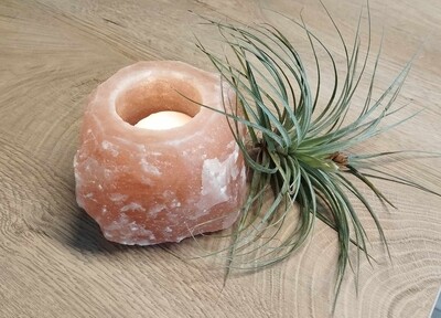 Bougeoir cristal sel d&#39;Himalaya