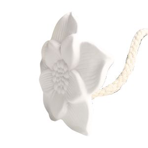 Fleur narcisse à capillarité
