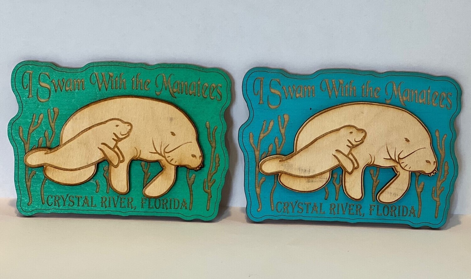 Wood Magnet I Swam W/ Manatees