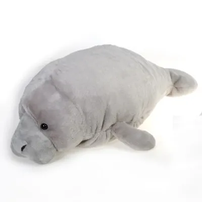 26 inch manatee with picture