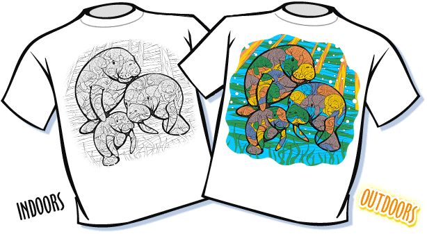 Magic Color-Change T-Shirt