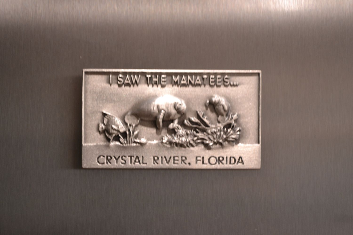 Pewter Magnet: Saw the Manatees 