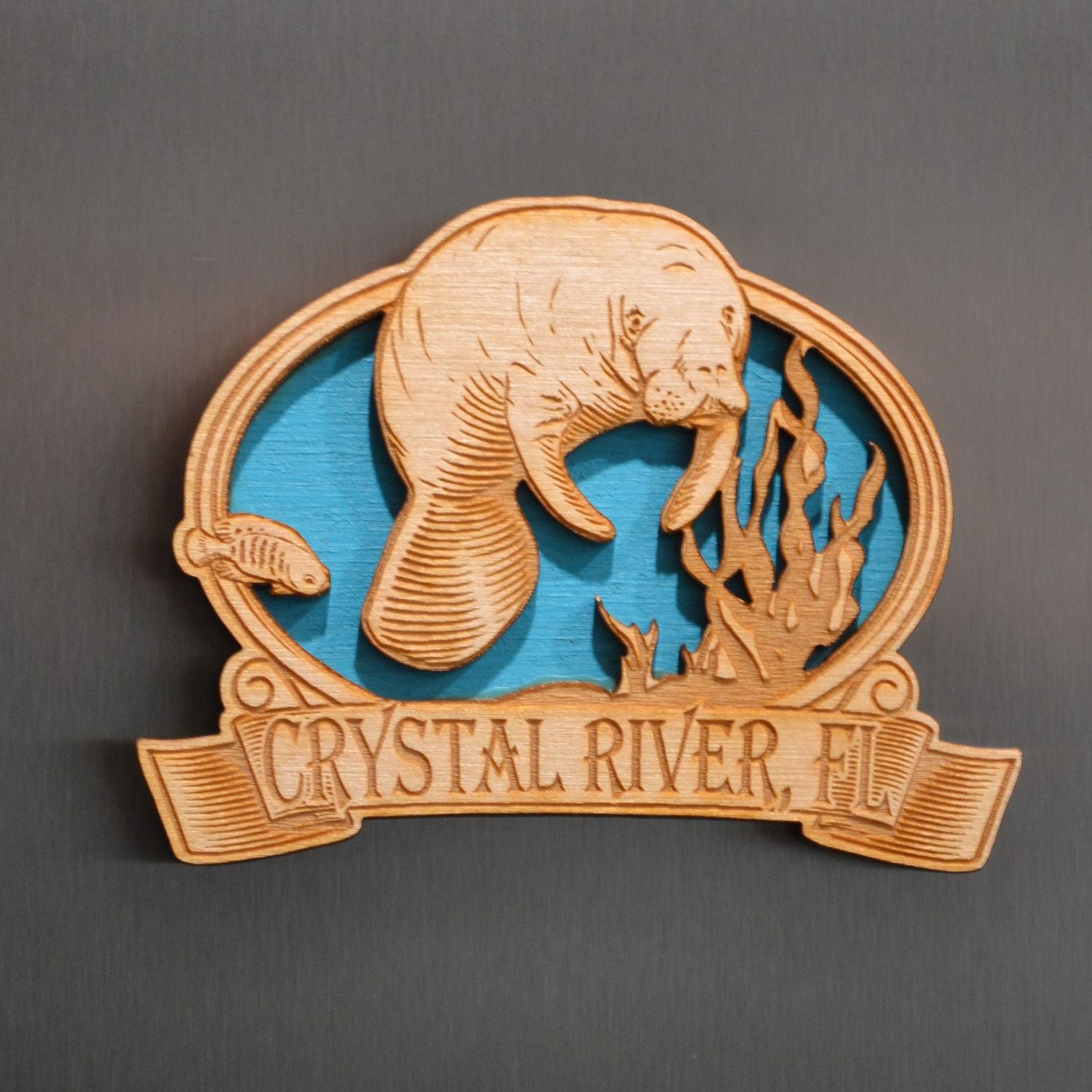Crystal River Manatee: Teal