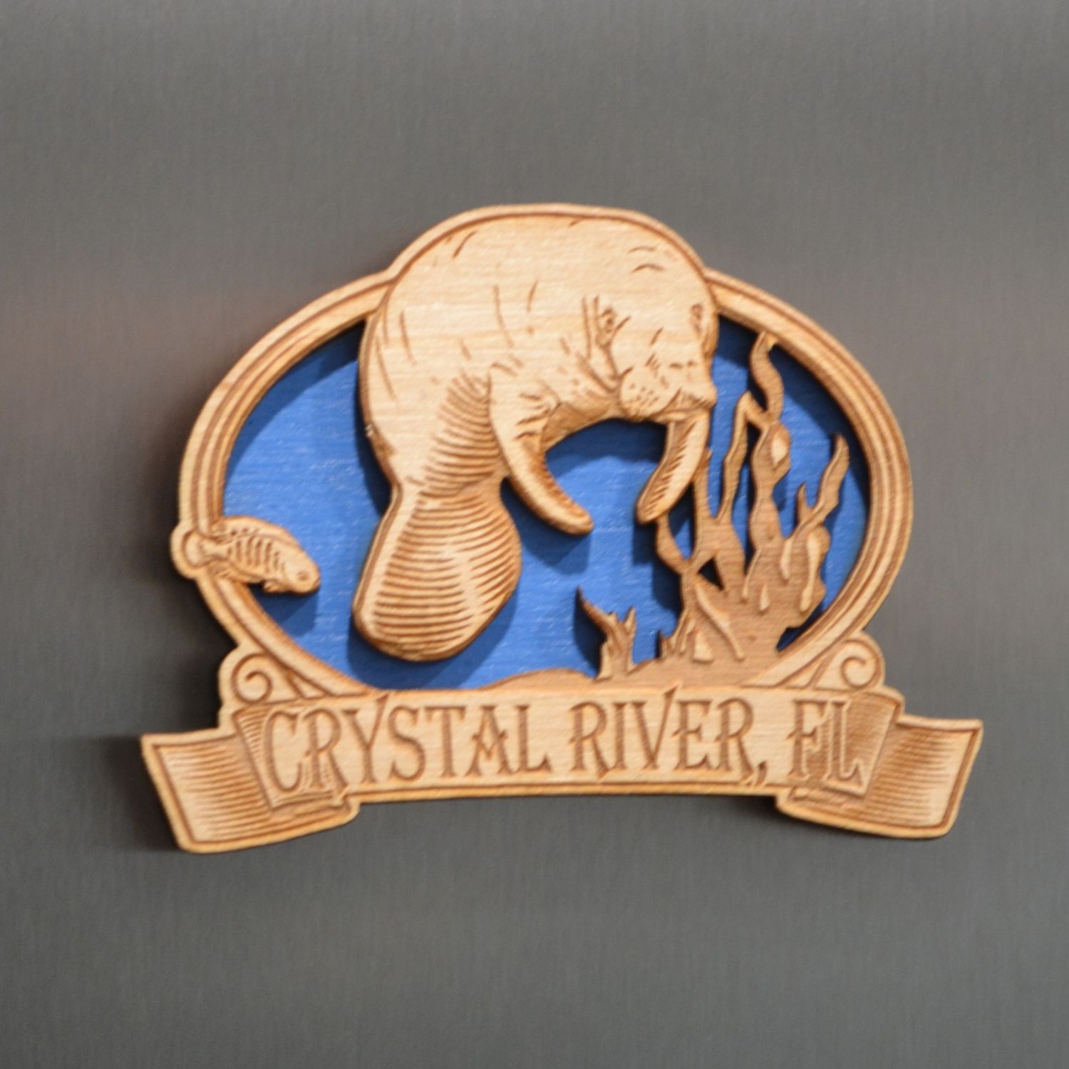 Crystal River Manatee: Dark Blue 