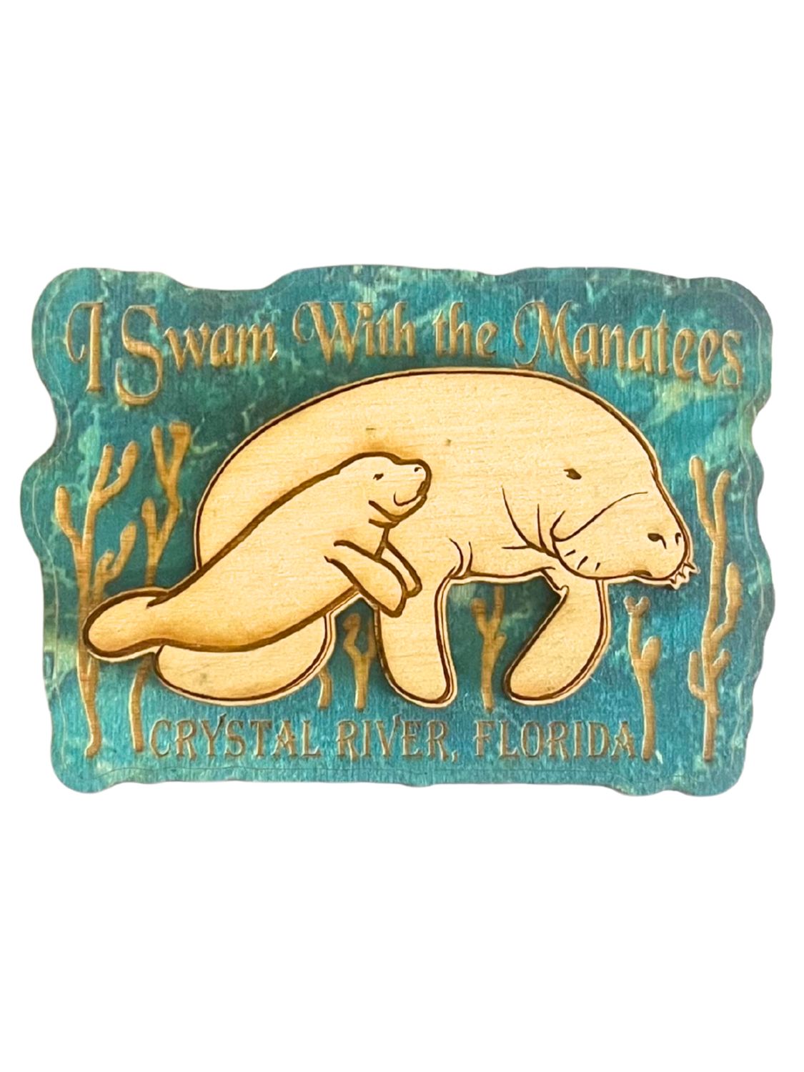Wood Magnet: I Swam with the Manatees