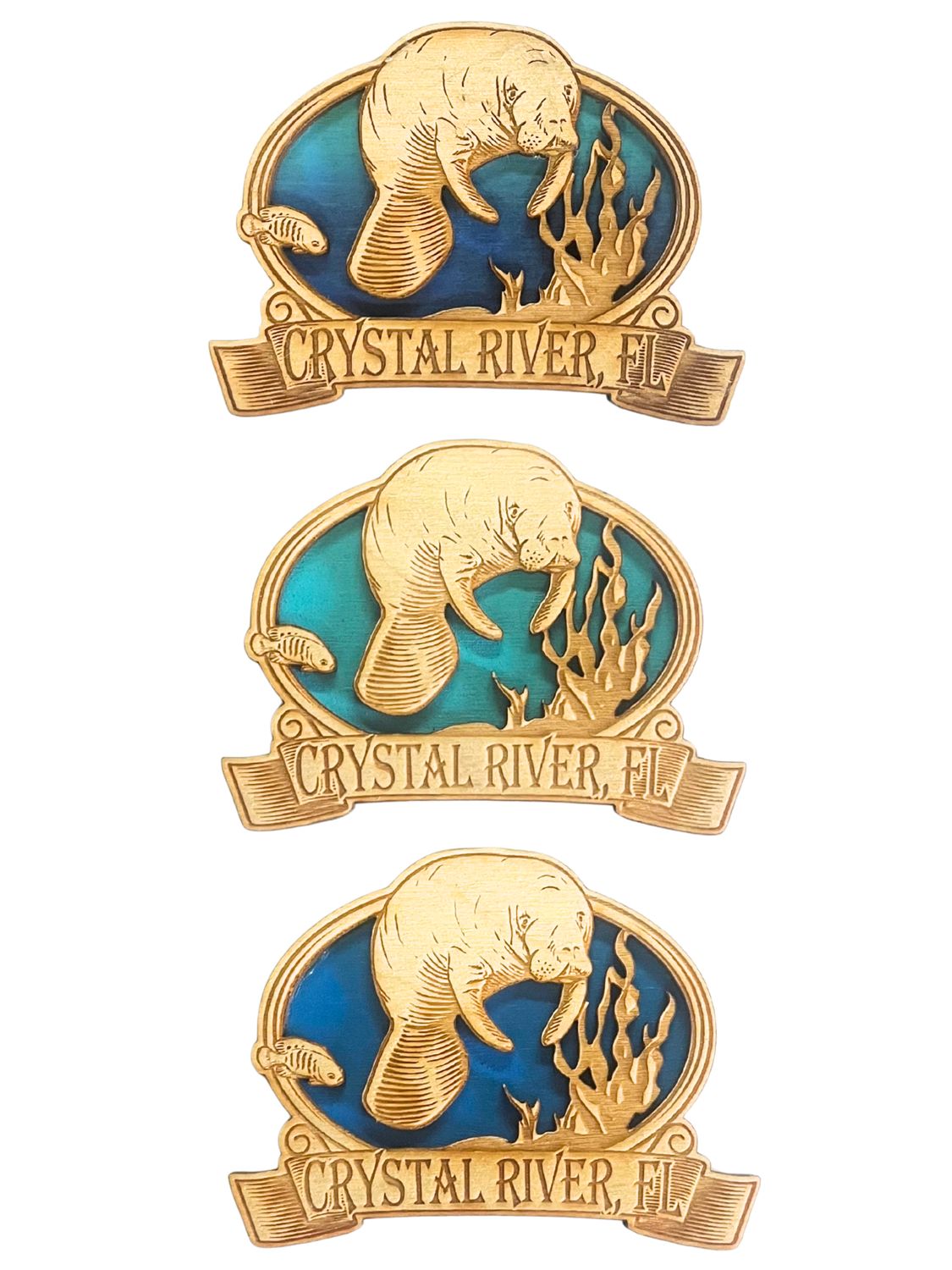 Crystal River Manatee Magnet
