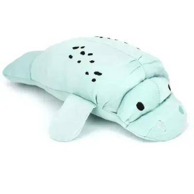Lucy's Manatee