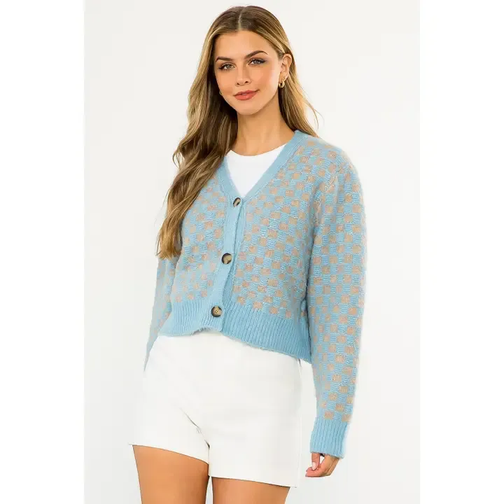 Checkered Button Up Sweater - Blue