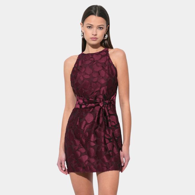 Adelyn Rae Falini Velvet Tie Front Dress - Wine