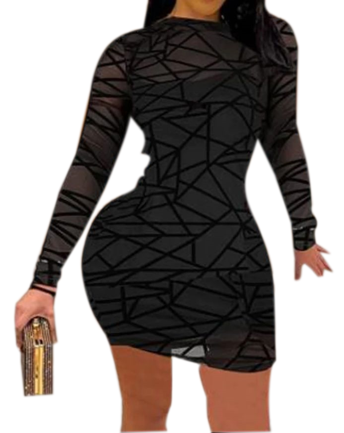 Bodycon Mesh Dress