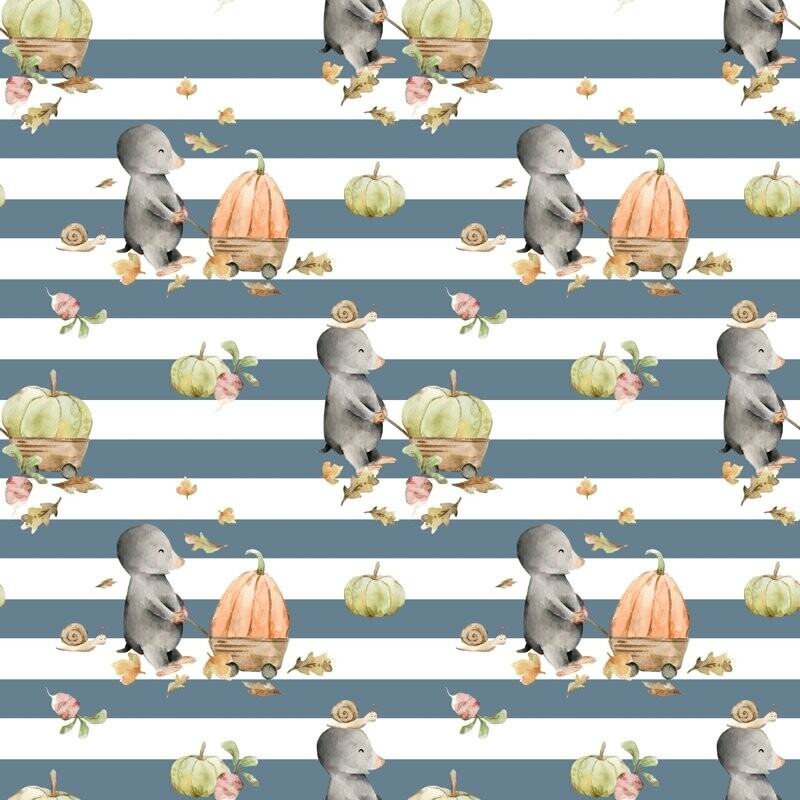 Pumki Stripes Pumki Stripes