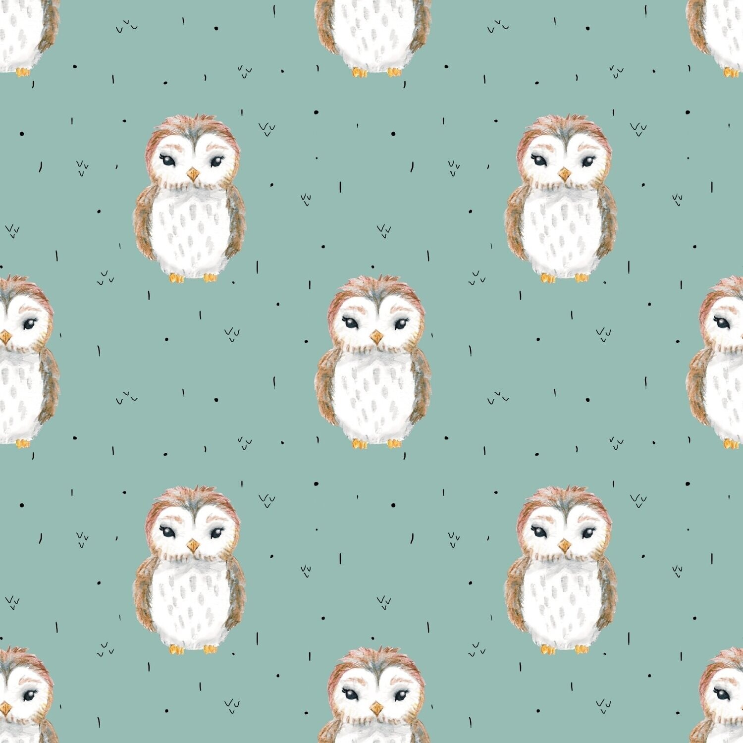 Miss Owl Bio Miss Owl Bio