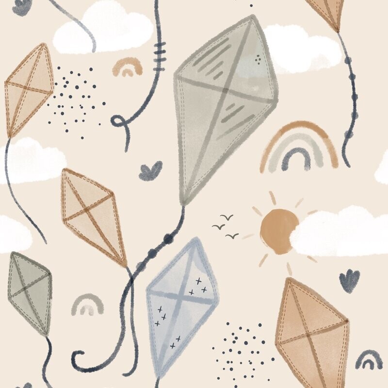 Kite in the Sky Kite in the Sky