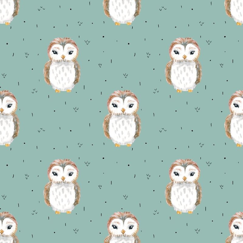 Miss Owl FT Miss Owl FT