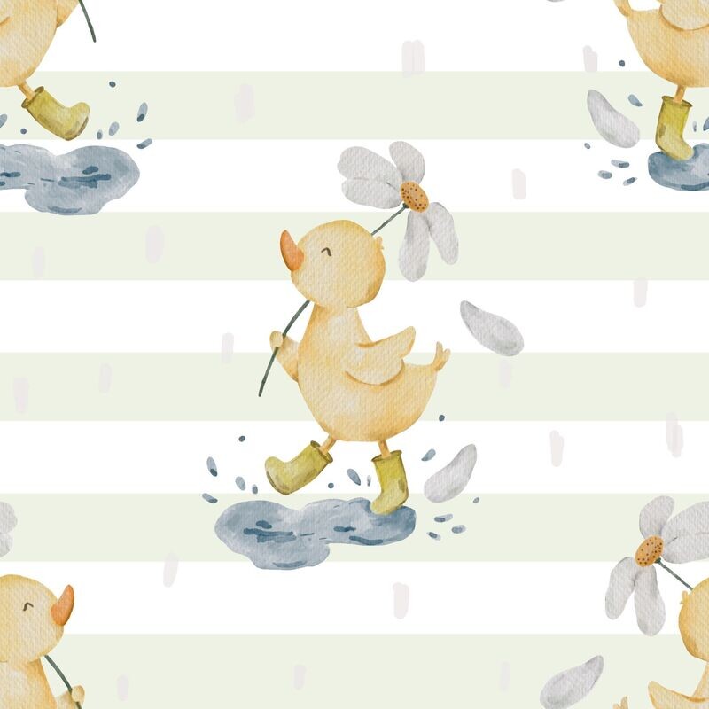 Rainduck FT Rainduck FT