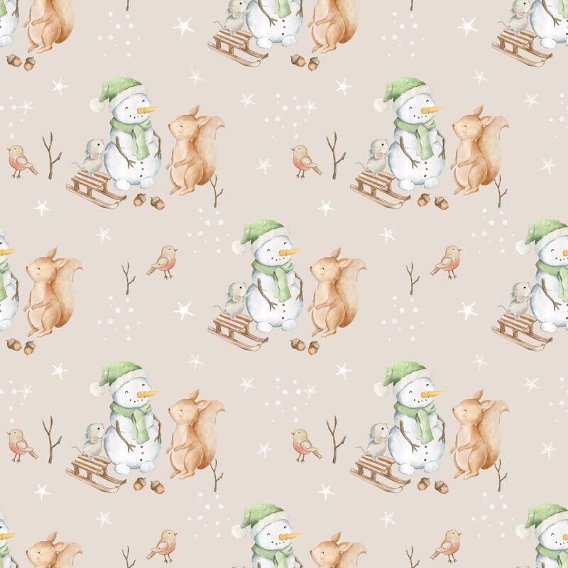 Snowman FT Snowman FT