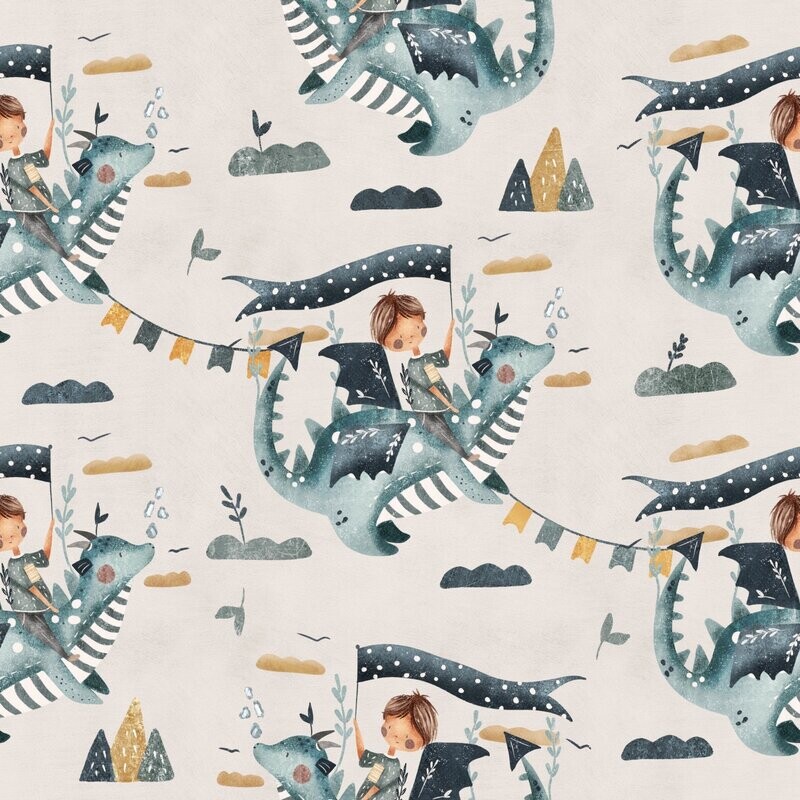 Drachenflug FT Drachenflug FT