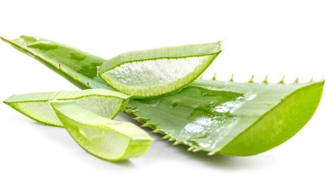 List  Aloe  - za kozmetične namene in prehransko dopolnilo