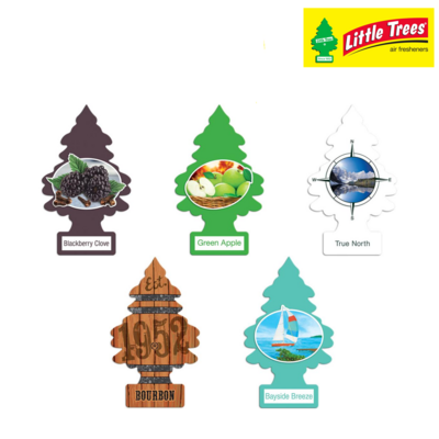 LITTLE TREES Air Fresheners (Pack of Blackberry Clove, Green Apple, True North, Bourbon and Bayside Breeze)