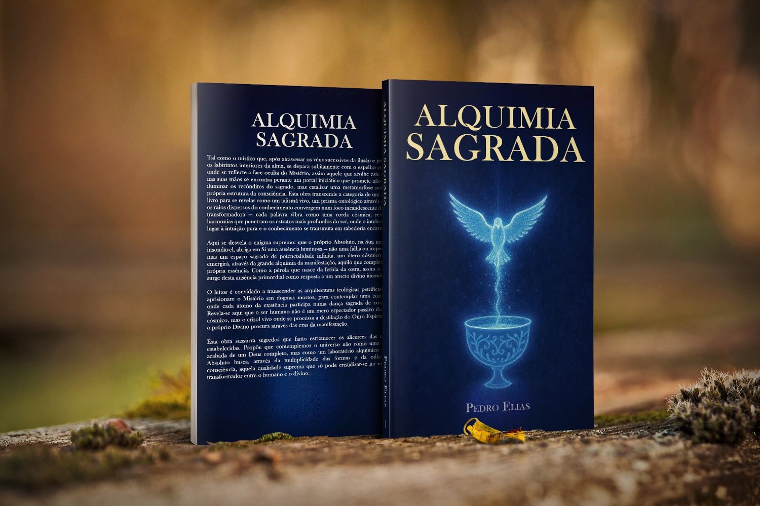 Alquimia Sagrada