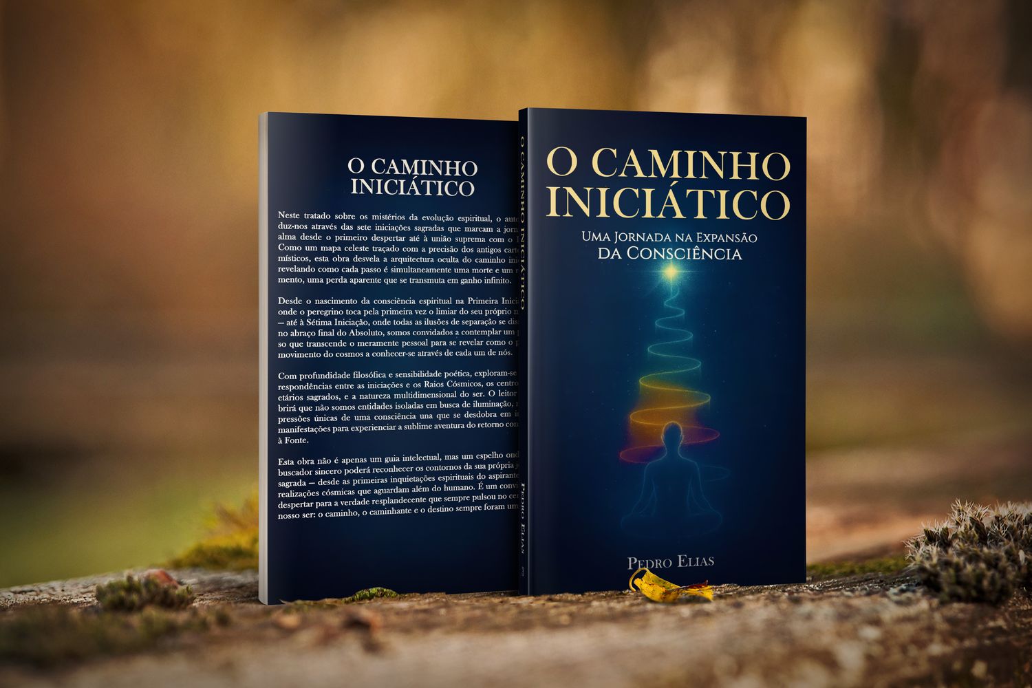 O Caminho Iniciático