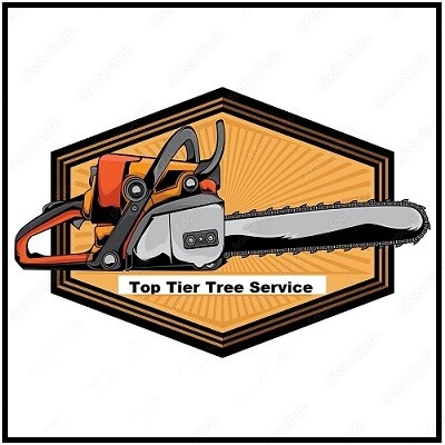 Top Tier Tree Service