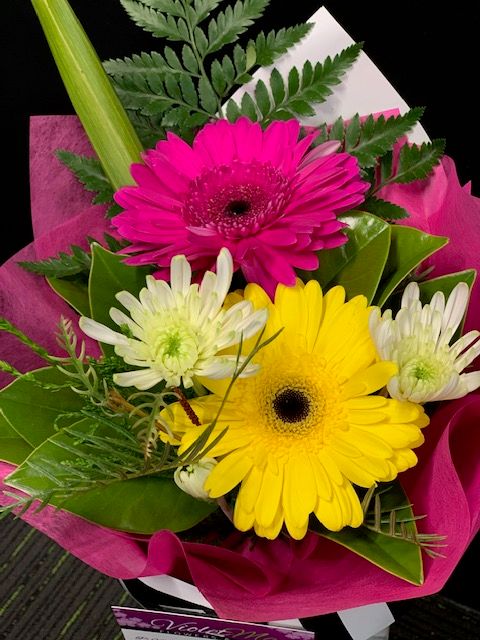 Gerbera Duo