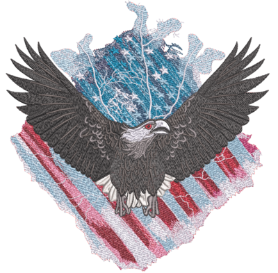Eagle with Flag 2