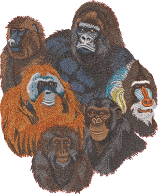 Ape Group