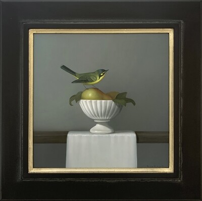 Sarah Siltala, "Still Life with Kentucky Warbler", Oil on panel, 14 x 14 inches