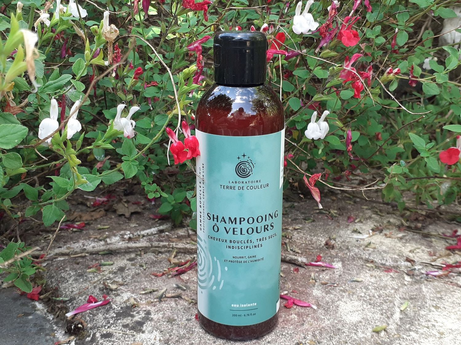 Shampoing ô velours- douceur et protection