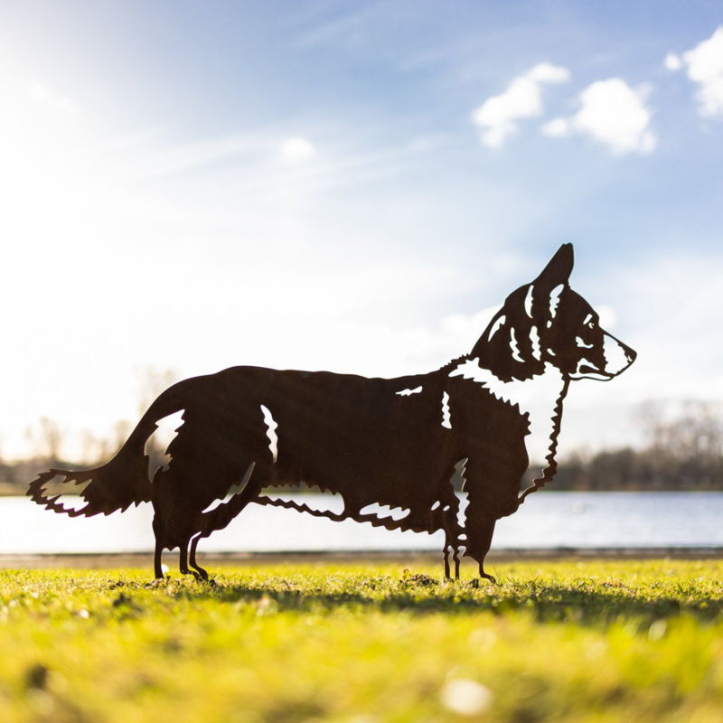 Welsh Corgi van cortenstaal