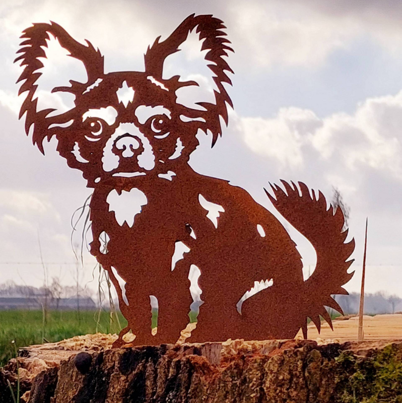 Chihuahua van cortenstaal