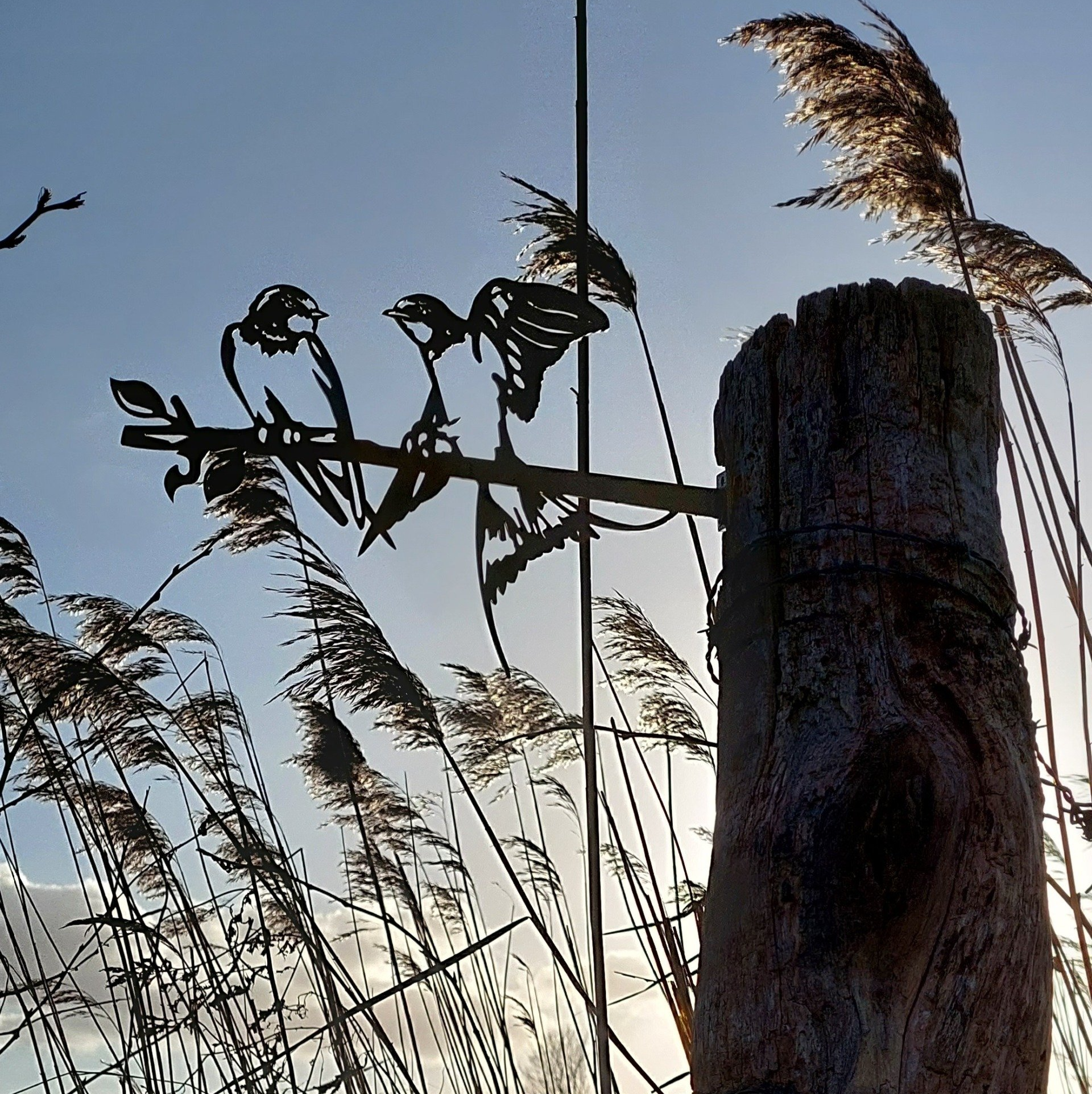 Zwaluwen van cortenstaal