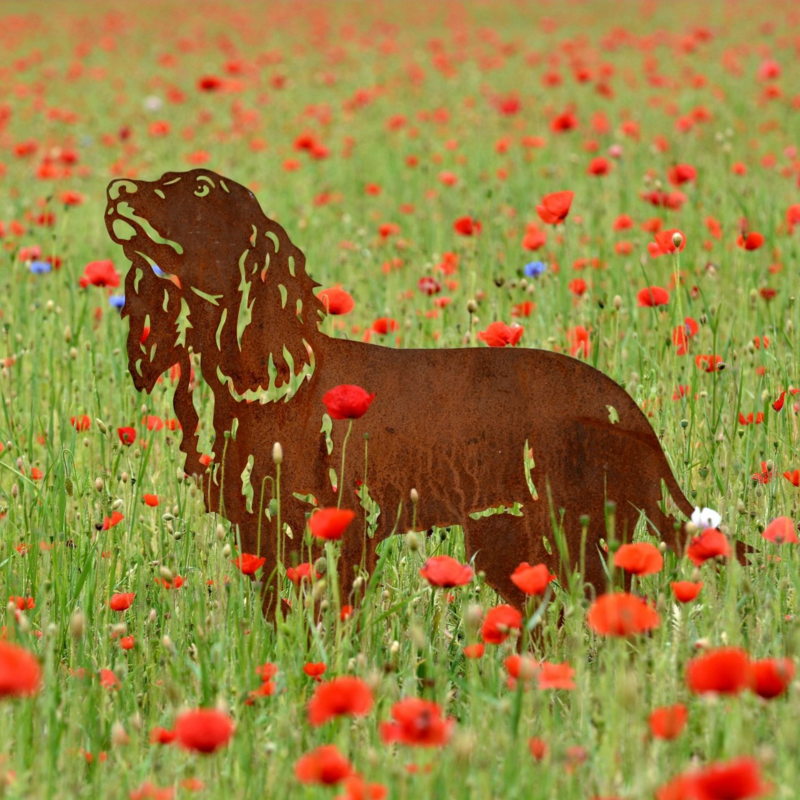 Cocker spaniel van cortenstaal
