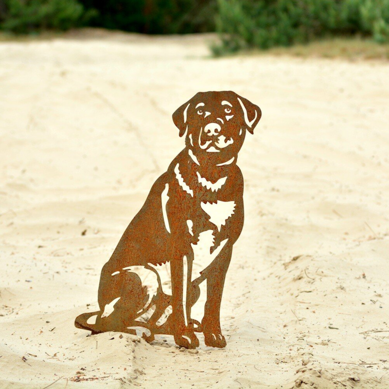 Labrador van cortenstaal