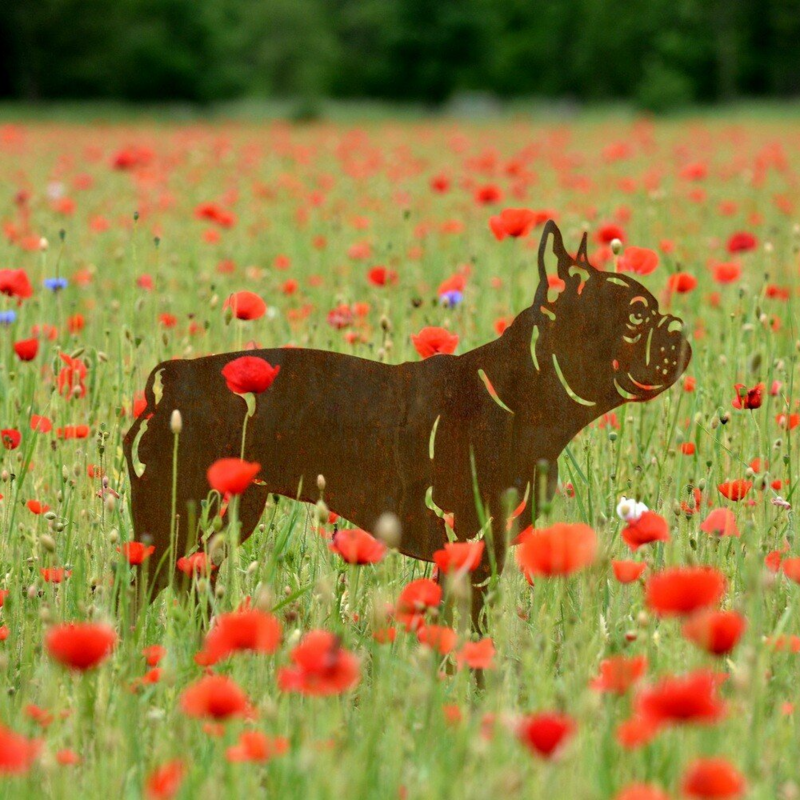 Franse bulldog van cortenstaal