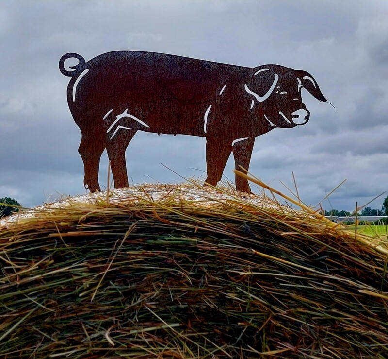 Schwein aus cortenstahl