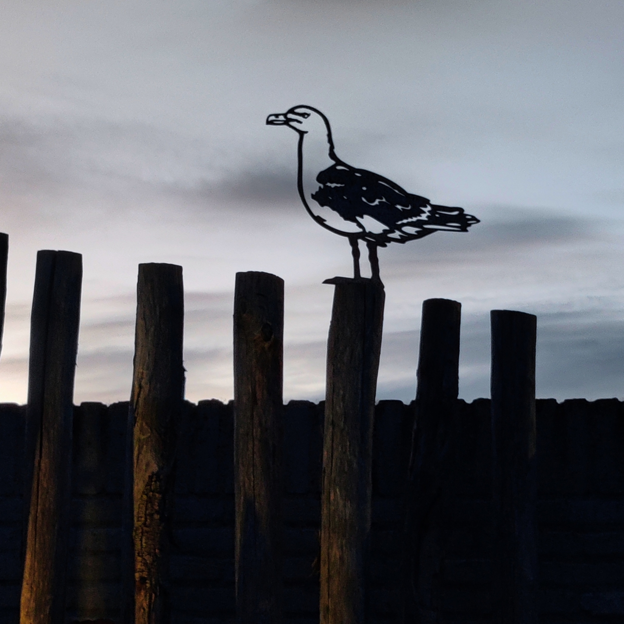 Meeuw van cortenstaal