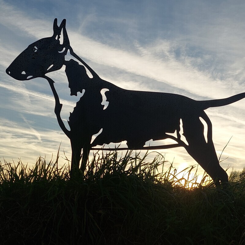 Bull terrier van cortenstaal