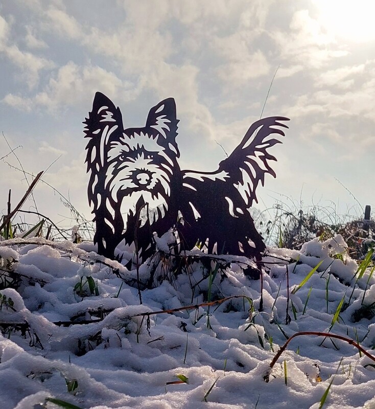 Yorkshire terrier van cortenstaal